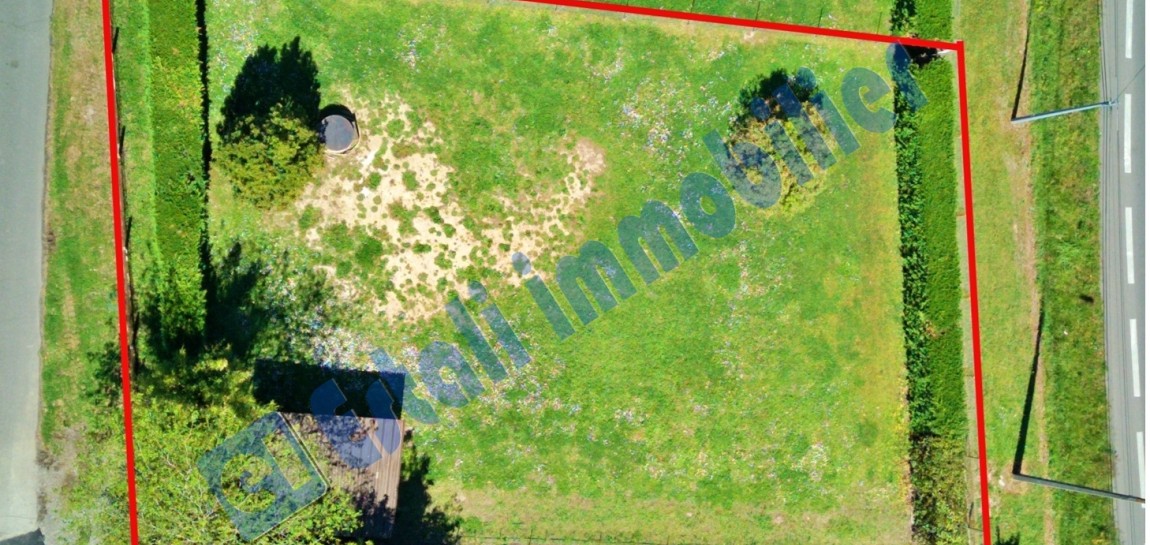 Vente terrain