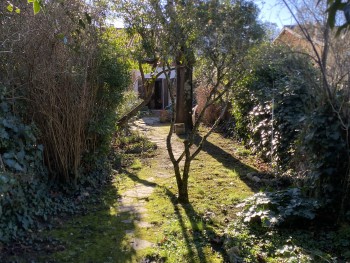 Sale house