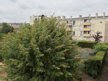 Sale apartment