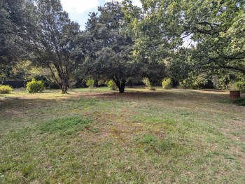 Sale site