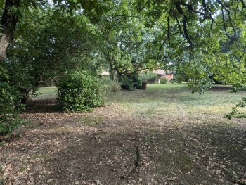 Sale site